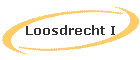 Loosdrecht I